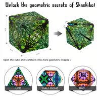 Shashibo Shape Shifting Box - Earth