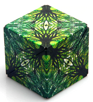 Shashibo Shape Shifting Box - Earth