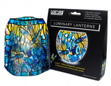 Louis C. Tiffany Dragonfly Luminaries