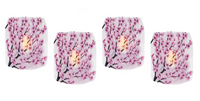 Cherry Blossom Sakura Luminaries