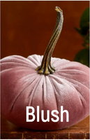 Velvet Pumpkins