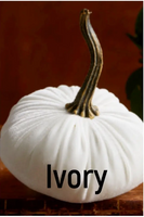 Velvet Pumpkins
