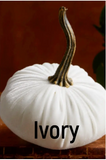 Velvet Pumpkins