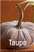 Velvet Pumpkins