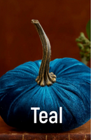 Velvet Pumpkins