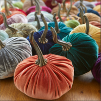 Velvet Pumpkins