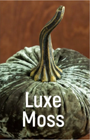 Velvet Pumpkins