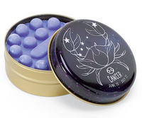 Zodiac Soap Tins