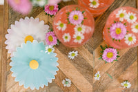 Daisy Aqua/White Drink Cover 4" Set of 2