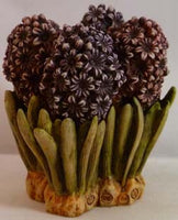 Hyacinth - Harmony Kingdom - Jules Enchanting Gifts