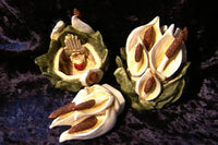 Peace Lilly - Harmony Kingdom - Jules Enchanting Gifts