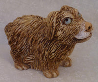 Scruffy Dog