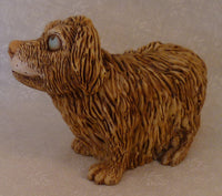Scruffy Dog