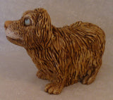 Scruffy Dog
