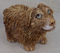 Scruffy Dog