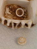 Terra Incognita